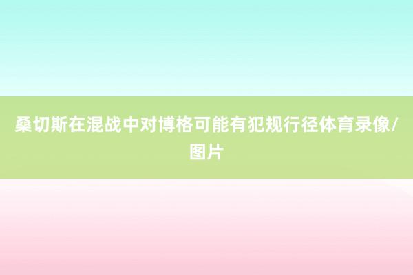 桑切斯在混战中对博格可能有犯规行径体育录像/图片