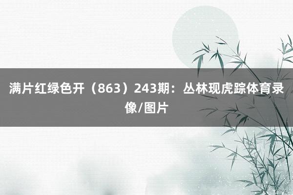 满片红绿色开(863) 243期:丛林现虎踪体育录像/图片