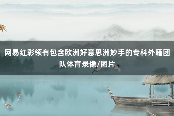 网易红彩领有包含欧洲好意思洲妙手的专科外籍团队体育录像/图片