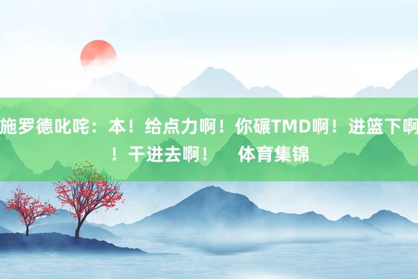 施罗德叱咤：本！给点力啊！你碾TMD啊！进篮下啊！干进去啊！    体育集锦