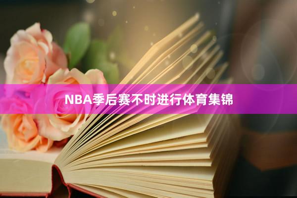 NBA季后赛不时进行体育集锦