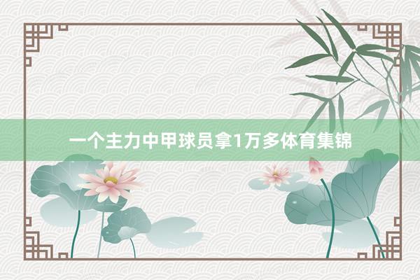 一个主力中甲球员拿1万多体育集锦