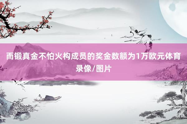 而锻真金不怕火构成员的奖金数额为1万欧元体育录像/图片