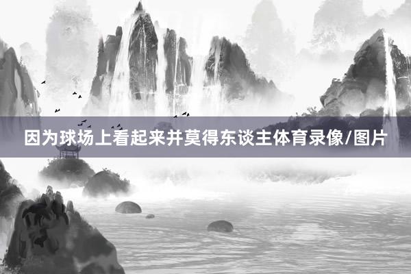 因为球场上看起来并莫得东谈主体育录像/图片