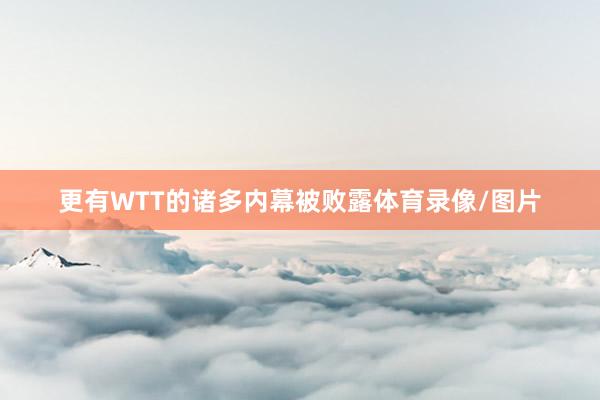 更有WTT的诸多内幕被败露体育录像/图片