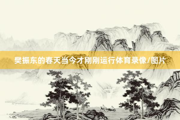 樊振东的春天当今才刚刚运行体育录像/图片