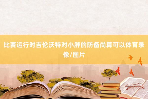 比赛运行时吉伦沃特对小胖的防备尚算可以体育录像/图片
