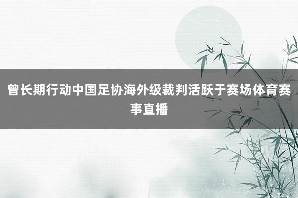 曾长期行动中国足协海外级裁判活跃于赛场体育赛事直播
