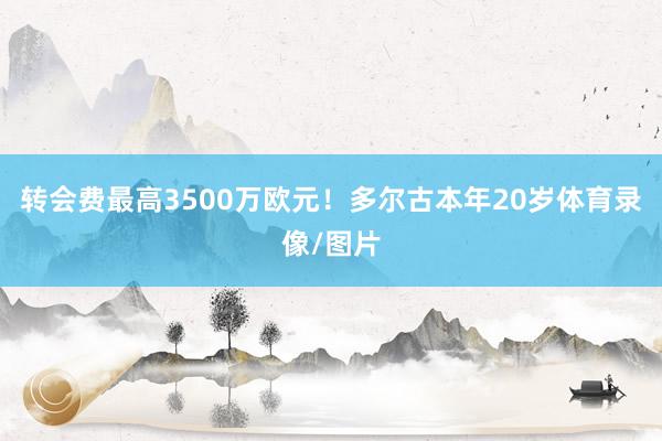 转会费最高3500万欧元！多尔古本年20岁体育录像/图片