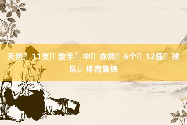 天然‬11支‬敌手‬中‬亦然‬6个‬12强‬球队‬体育集锦