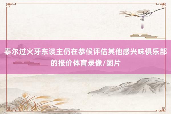 泰尔过火牙东谈主仍在恭候评估其他感兴味俱乐部的报价体育录像/图片
