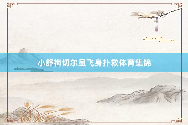 小舒梅切尔虽飞身扑救体育集锦