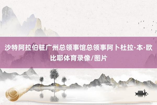 沙特阿拉伯驻广州总领事馆总领事阿卜杜拉·本·欧比耶体育录像/图片