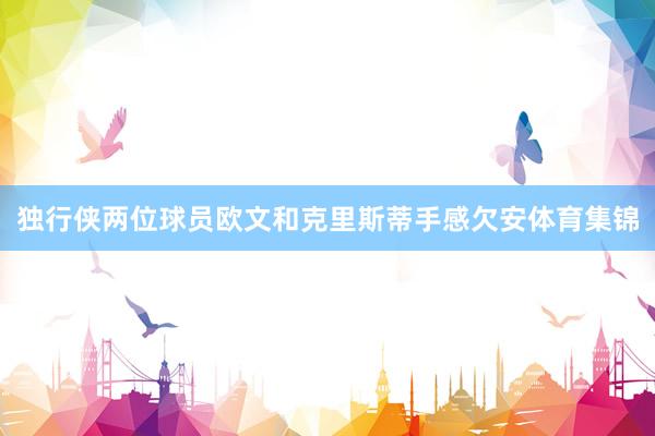 独行侠两位球员欧文和克里斯蒂手感欠安体育集锦