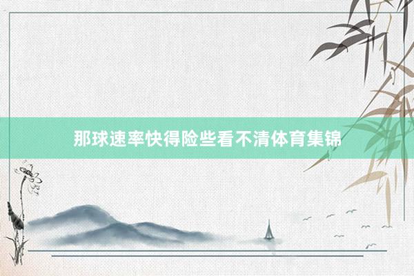 那球速率快得险些看不清体育集锦