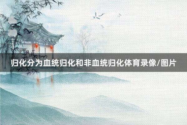归化分为血统归化和非血统归化体育录像/图片