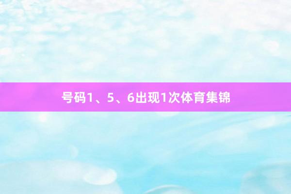 号码1、5、6出现1次体育集锦