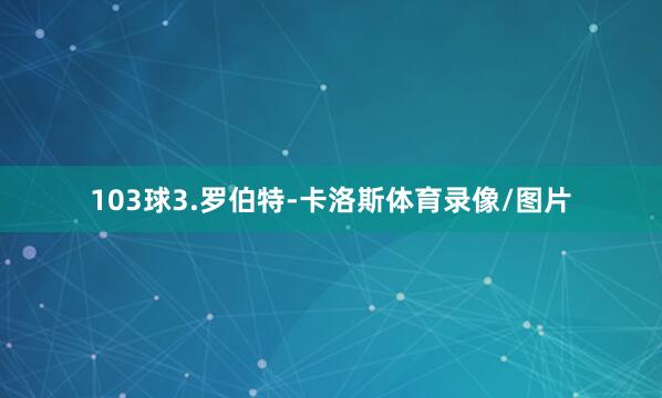 103球3.罗伯特-卡洛斯体育录像/图片