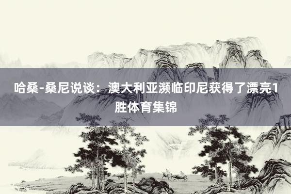 哈桑-桑尼说谈：澳大利亚濒临印尼获得了漂亮1胜体育集锦