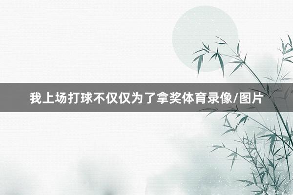 我上场打球不仅仅为了拿奖体育录像/图片