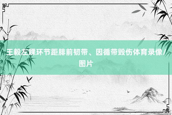 王毅左踝环节距腓前韧带、因循带毁伤体育录像/图片