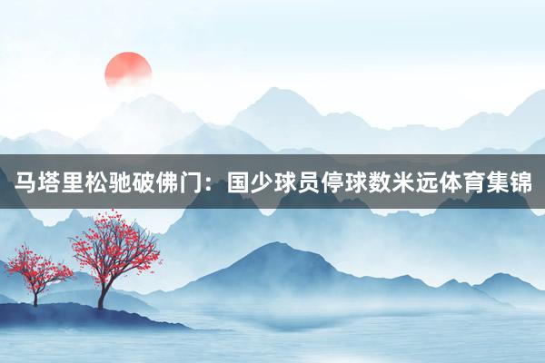 马塔里松驰破佛门：国少球员停球数米远体育集锦