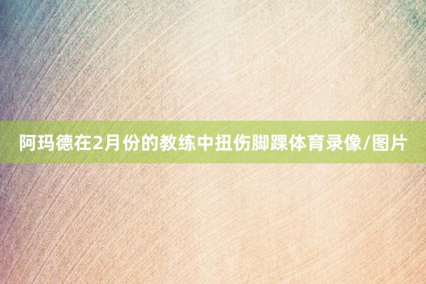 阿玛德在2月份的教练中扭伤脚踝体育录像/图片