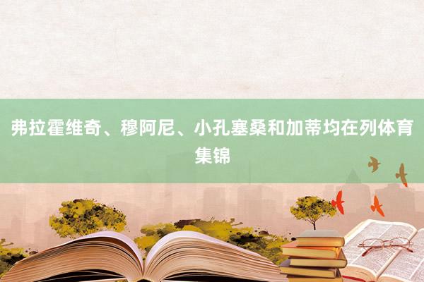 弗拉霍维奇、穆阿尼、小孔塞桑和加蒂均在列体育集锦