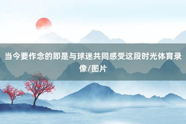 当今要作念的即是与球迷共同感受这段时光体育录像/图片