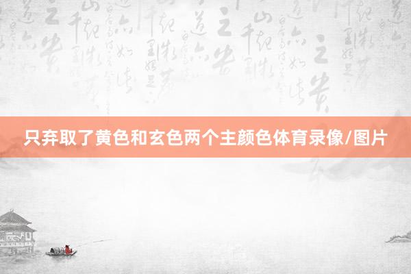 只弃取了黄色和玄色两个主颜色体育录像/图片