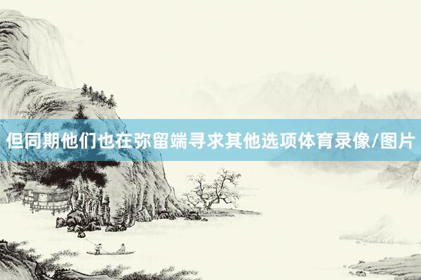 但同期他们也在弥留端寻求其他选项体育录像/图片