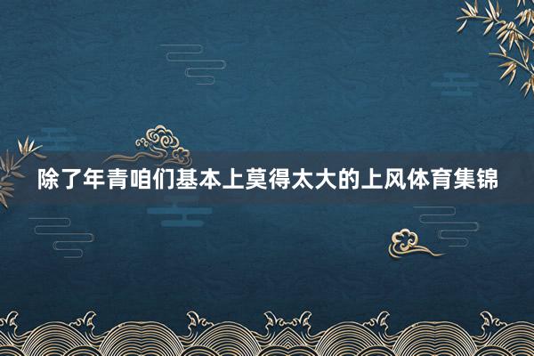 除了年青咱们基本上莫得太大的上风体育集锦