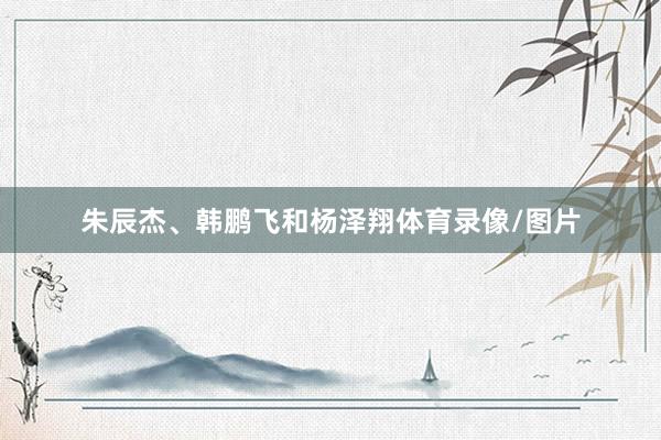 朱辰杰、韩鹏飞和杨泽翔体育录像/图片