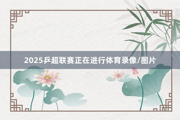 2025乒超联赛正在进行体育录像/图片
