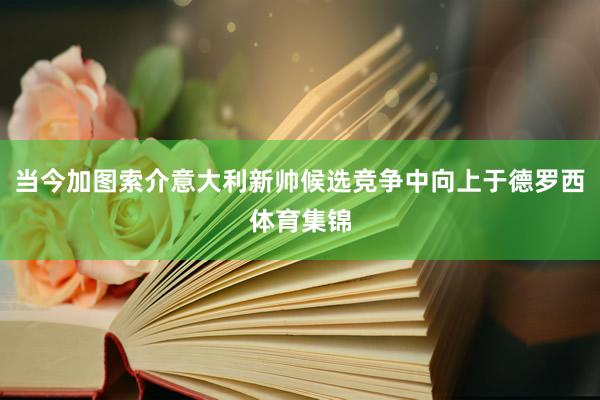 当今加图索介意大利新帅候选竞争中向上于德罗西体育集锦