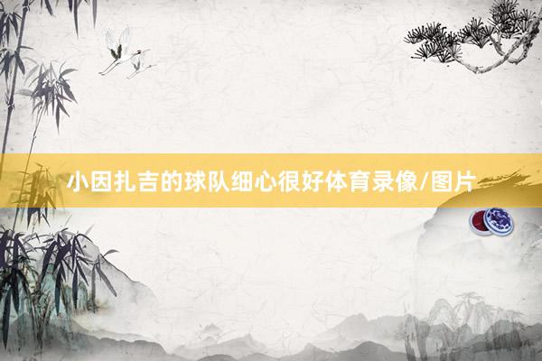 小因扎吉的球队细心很好体育录像/图片