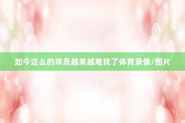 如今这么的球员越来越难找了体育录像/图片
