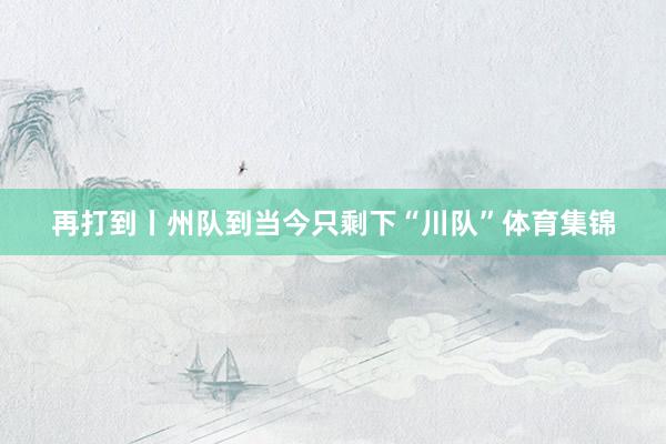 再打到丨州队到当今只剩下“川队”体育集锦
