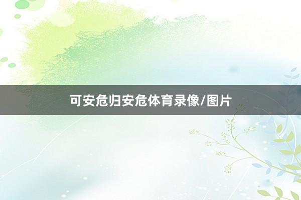 可安危归安危体育录像/图片
