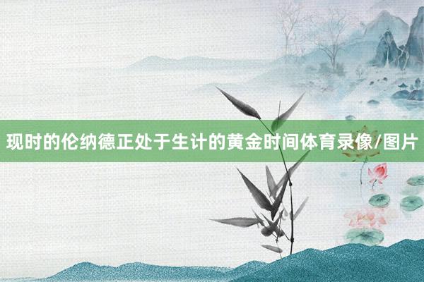 现时的伦纳德正处于生计的黄金时间体育录像/图片
