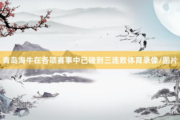 青岛海牛在各项赛事中已碰到三连败体育录像/图片