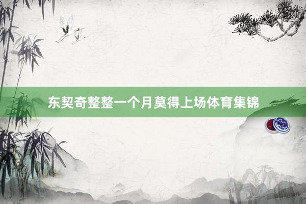 东契奇整整一个月莫得上场体育集锦