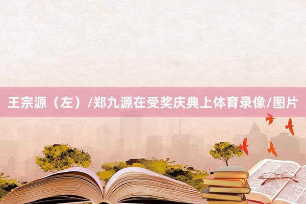 王宗源(左)/郑九源在受奖庆典上体育录像/图片