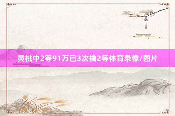 黄桃中2等91万已3次擒2等体育录像/图片