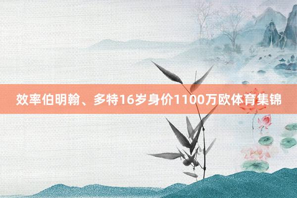 效率伯明翰、多特16岁身价1100万欧体育集锦