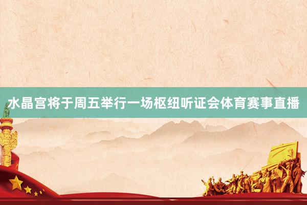 水晶宫将于周五举行一场枢纽听证会体育赛事直播