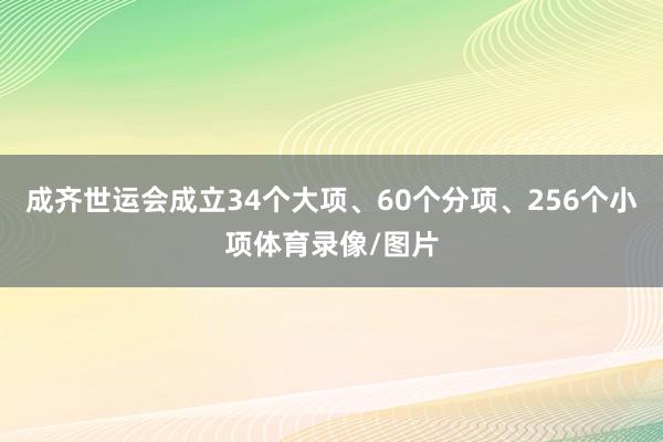 成齐世运会成立34个大项、60个分项、256个小项体育录像/图片