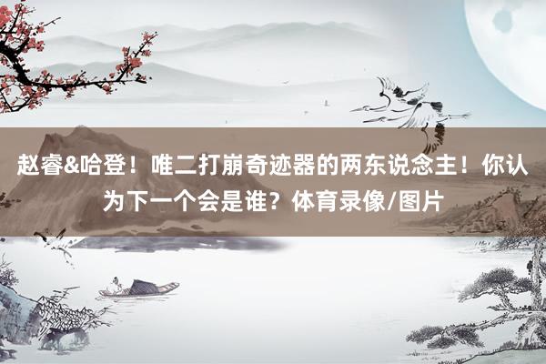 赵睿&哈登！唯二打崩奇迹器的两东说念主！你认为下一个会是谁？体育录像/图片