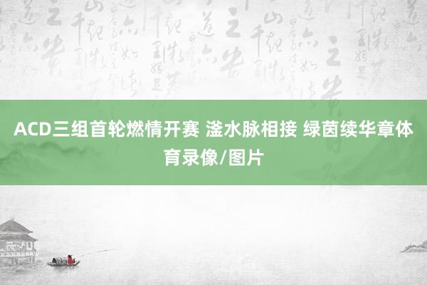 ACD三组首轮燃情开赛 滏水脉相接 绿茵续华章体育录像/图片