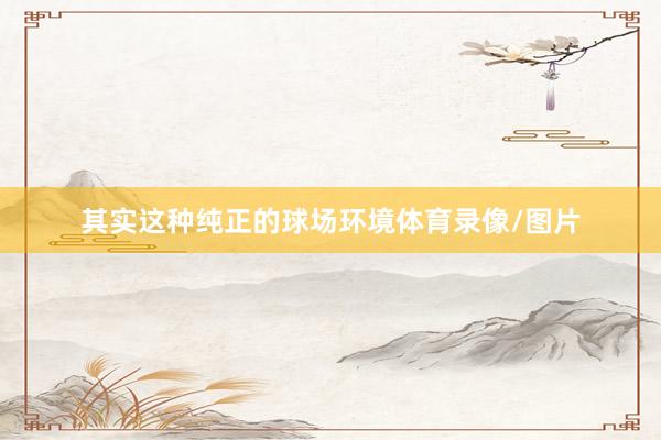 其实这种纯正的球场环境体育录像/图片
